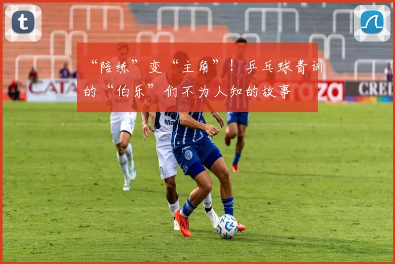 “陪练”变“主角”！乒乓球青训的“伯乐”们不为人知的故事